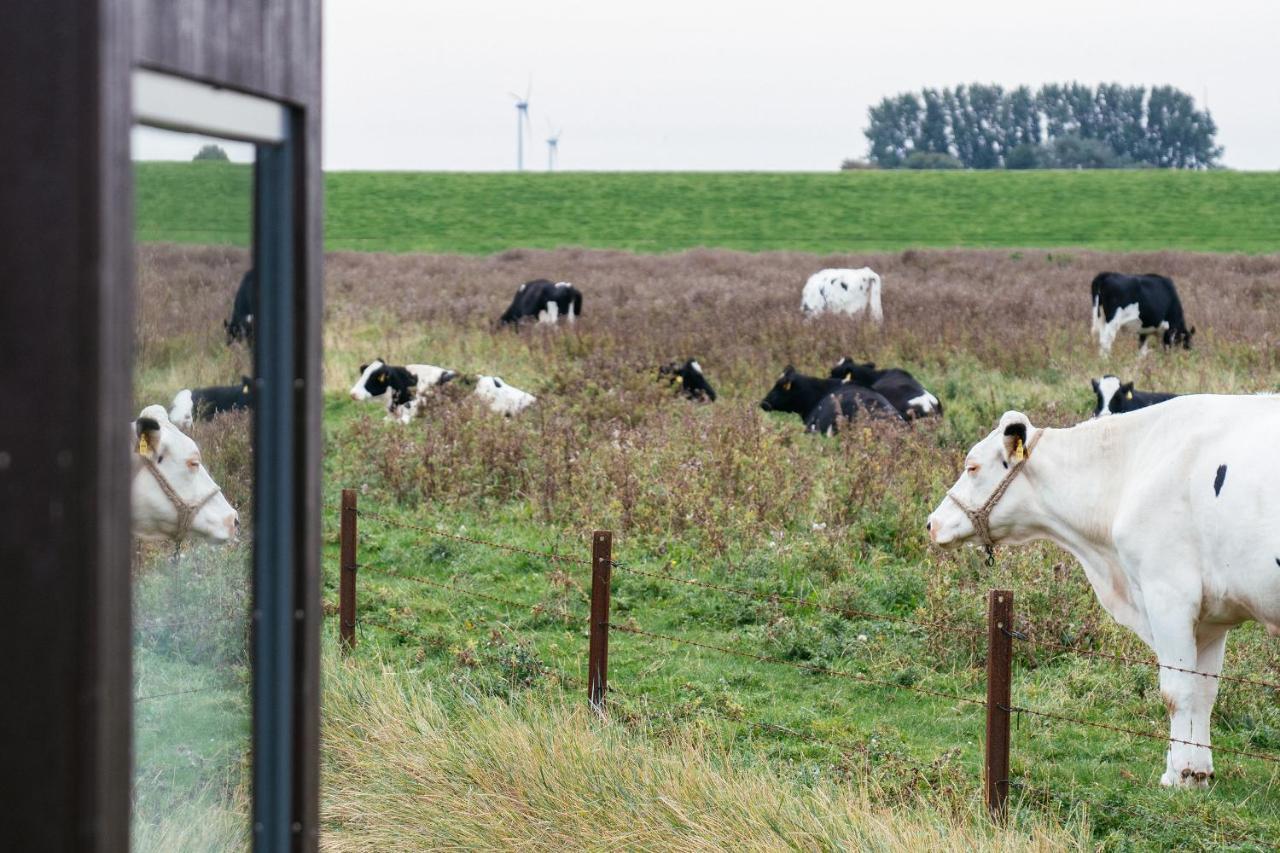 Tiny House Nature 9 Zur Kuhweide - Green Tiny Village Harlesiel Carolinensiel Eksteriør bilde